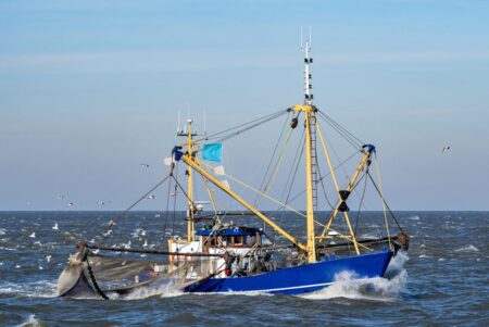 A commercial fishing vessel at sea representing the start of the Japanese fishing culture supply chain that determines the quality of sashimi on your plate